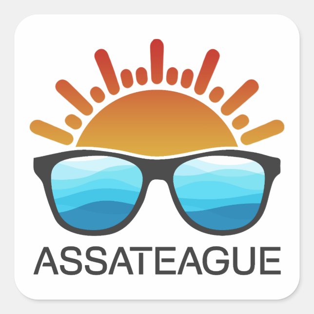 Assateague Island Maryland Virginia Sunglasses Square Sticker (Front)