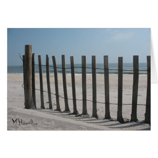 Assateague Island National Seashore (Front Horizontal)
