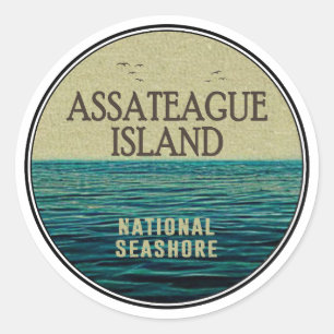 Assateague Island National Seashore Ocean Birds Classic Round Sticker