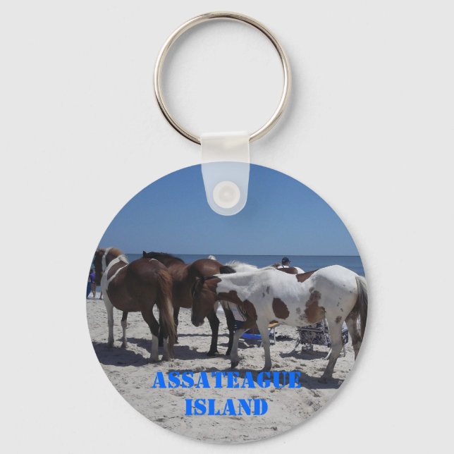 Assateague Island Ponies Keychain (Front)