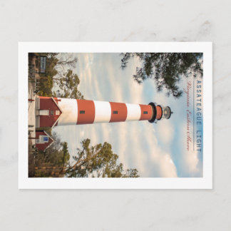 Assateague Island. Postcard