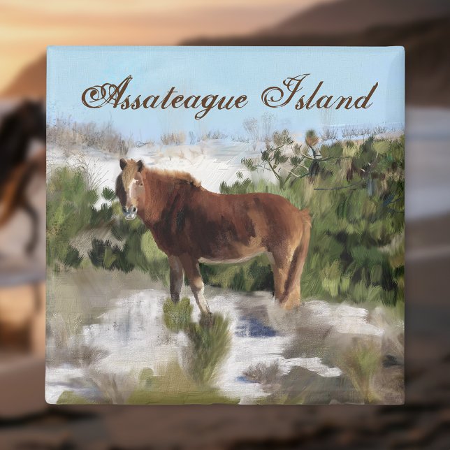 Assateague Island Wild Horse Magnet (Creator Uploaded)