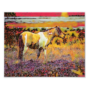 Assateague or Chincoteague Ponies Photo Print
