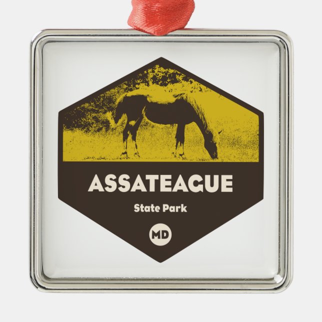 Assateague State Park Maryland Metal Ornament (Front)
