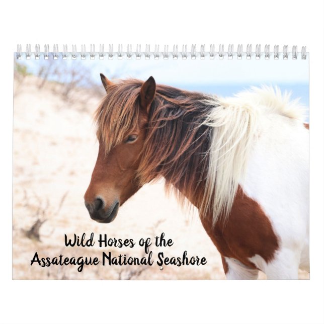 Assateague Wild Horses Calendar (Cover)