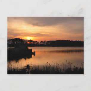 Assawoman Sunset Postcard