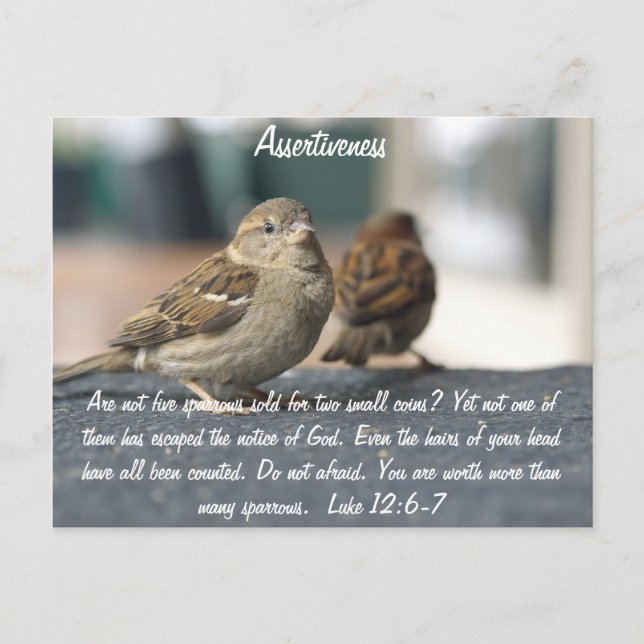 Assertiveness Postcard - Sparrows Quote (Front)