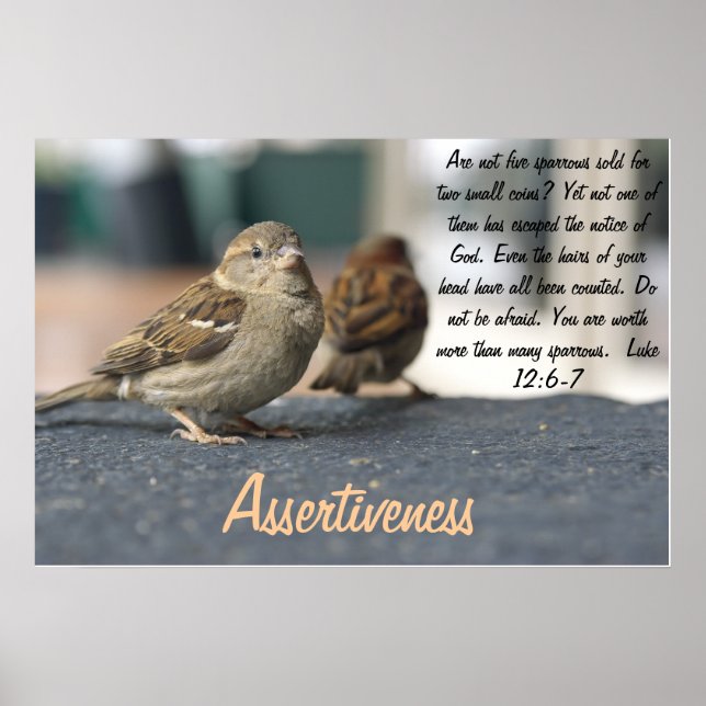 Assertiveness Poster - Sparrows Quote (Front)