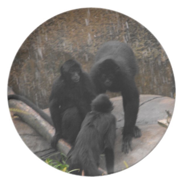 Assiette Articles de dîner d'Araignée-Singe (Devant)