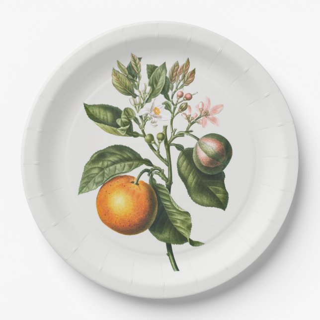 ASSIETTE EN PAPIER: BITTER ORANGE BLOSSOM (Devant)