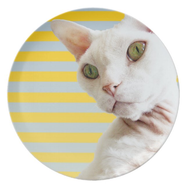 Assiette Plat blanc de chat de Devon Rex de rayure jaune (Devant)