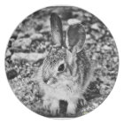 Plat de mélamine de lapin de bébé