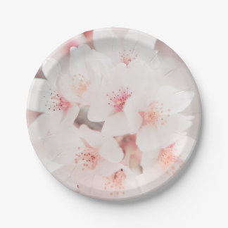 Assiette ronde en carton de 17,78 cm