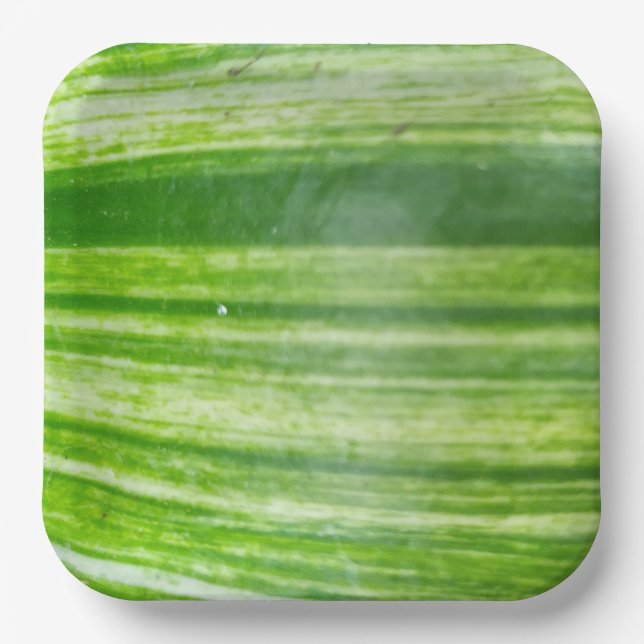 Assiettes carrées de 9 pouces avec motif de feuill (Recto)