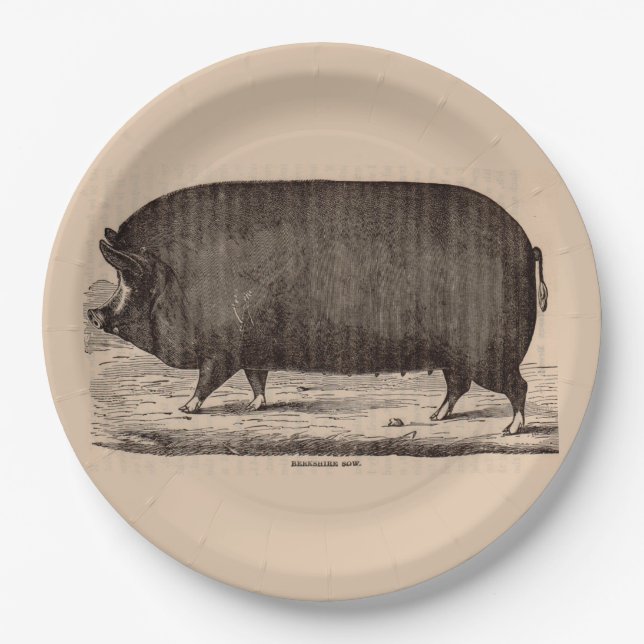 Assiettes En Carton 19th century farm animal print Berkshire sow no. 2 (Devant)