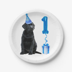 Assiettes En Carton 1er Anniversaire Chiot Thème - Chien bleu mignon G