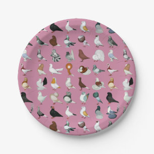 Assiettes En Carton 36 races de pigeon