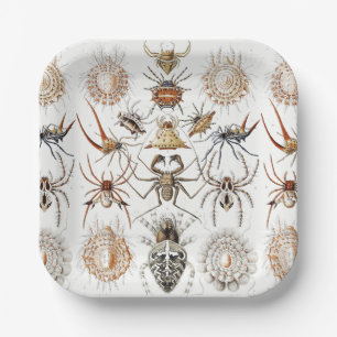 Assiettes En Carton Academia Noire Haeckel Vintage Araignée Symétrie A