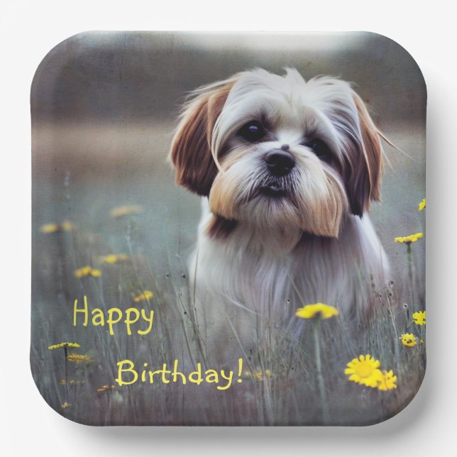 Assiettes En Carton Adorable Shih Tzu (Recto)
