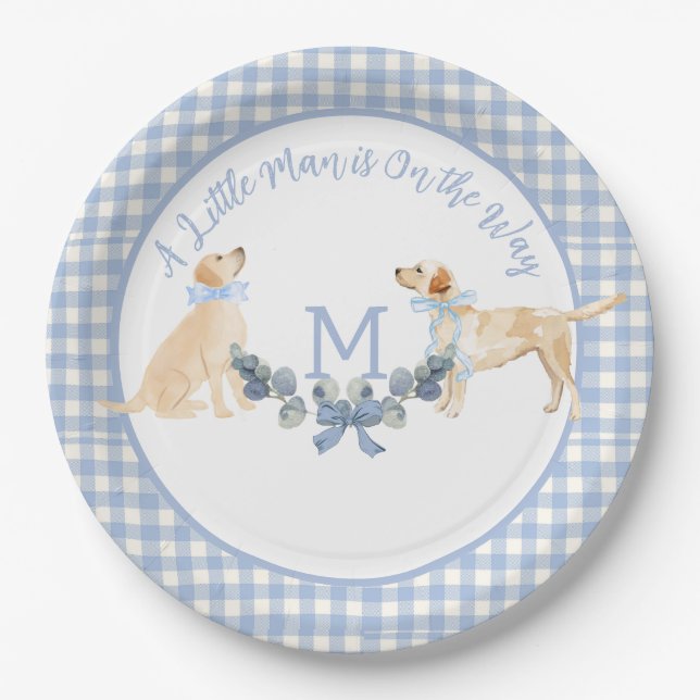 Assiettes En Carton Affiche de bienvenue Baby shower bleu et blanc En  (Devant)