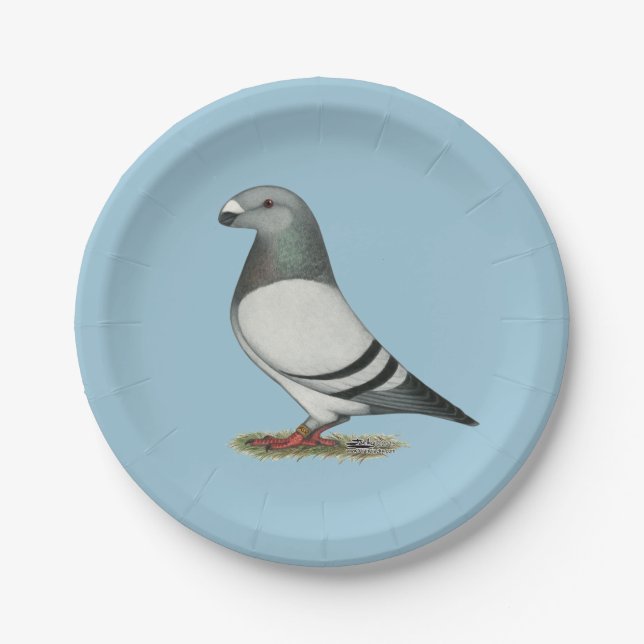 Assiettes En Carton Afficher Pigeon Barre Bleue Racer (Devant)