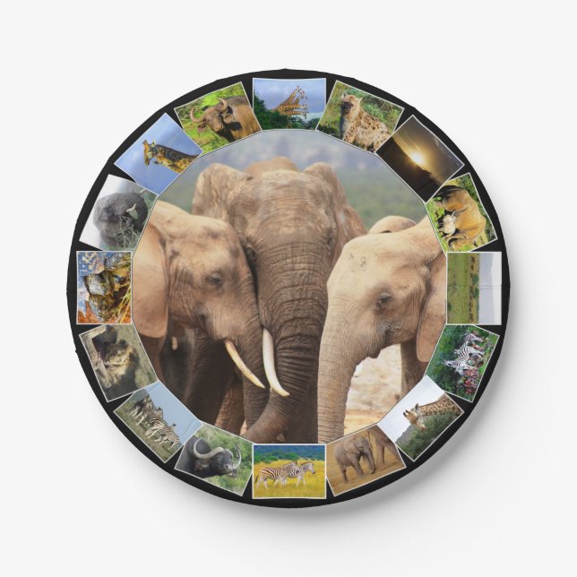 Assiettes En Carton African Wildlife Photo Collage Elephant Family (Devant)