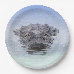 Assiettes En Carton Alligator Américain – Lake Apopka Wildlife Drive