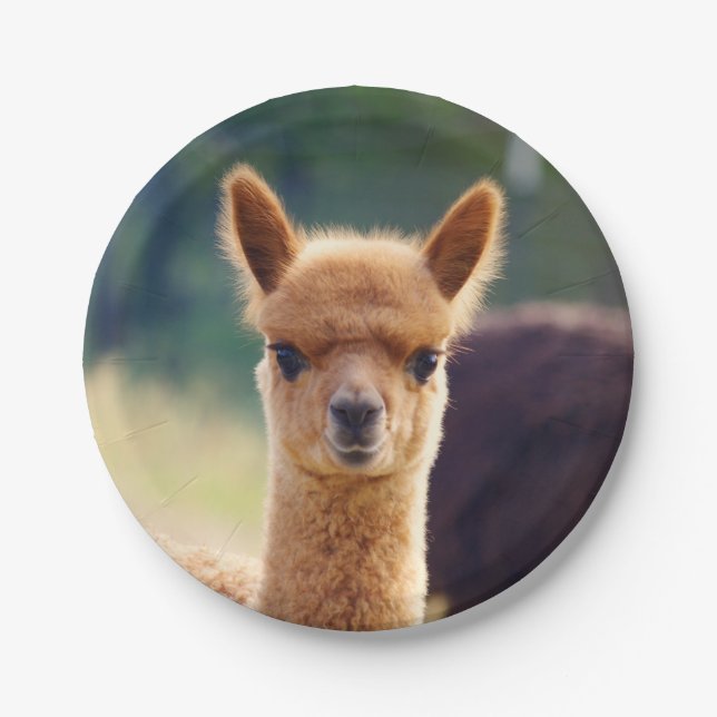 Assiettes En Carton Alpaga de bébé plaque à papier de 7 pouces (Devant)