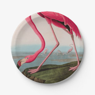 Assiettes En Carton American Flamant rose Birds of America Audubon Imp
