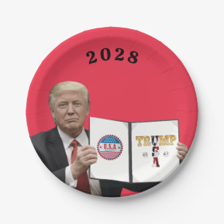Assiettes En Carton Amérique Grand Trump 45 47 2024