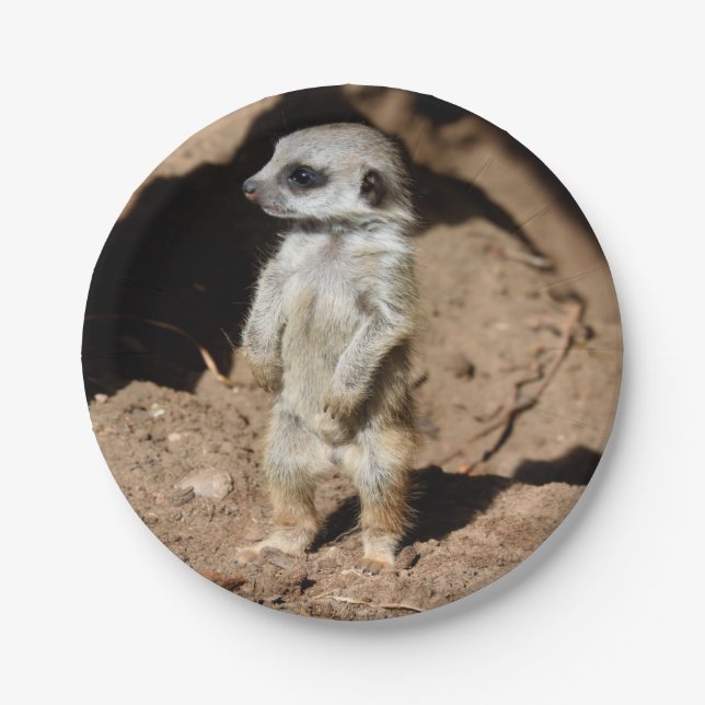 Assiettes En Carton Animal doux mignon merveilleux de Meerkat (Devant)