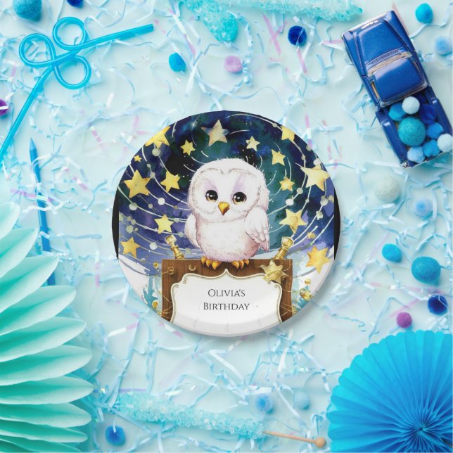 Assiettes En Carton Anniversaire de la chouette magique pour enfants (Fête)