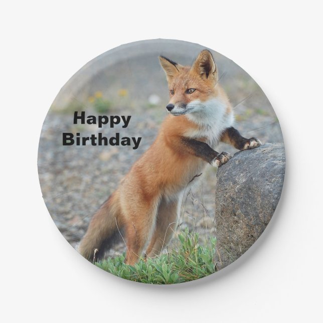 Assiettes En Carton Anniversaire de la Renard rouge debout (Devant)