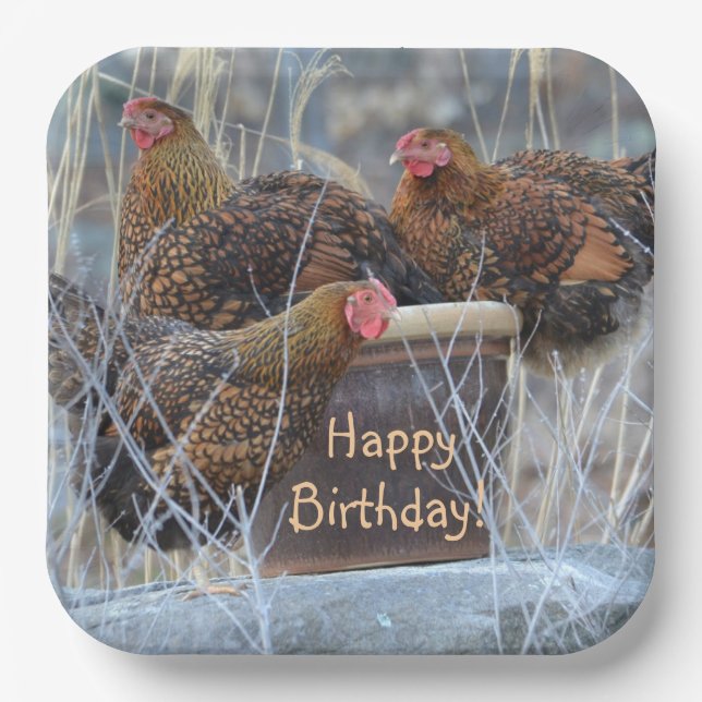 Assiettes En Carton Anniversaire de poulets soyeux (Recto)