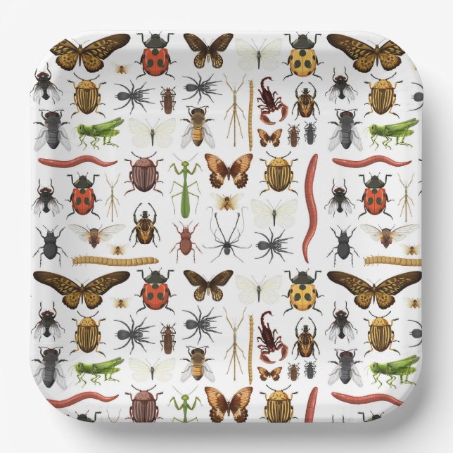 Assiettes En Carton Anniversaire des insectes (Recto)