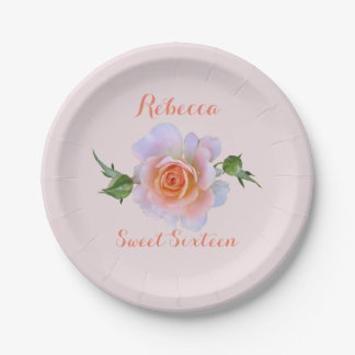 Assiettes En Carton Anniversaire rose du bonbon 16