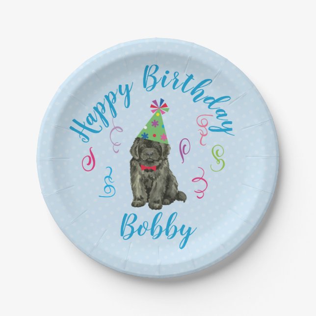 Assiettes En Carton Anniversaire Terre-Neuve Plaque de papier (Devant)
