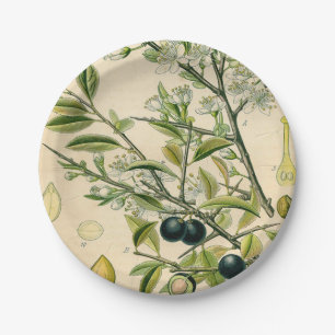 Assiettes En Carton Antique Blackthorn Botanique Imprimé Fleur Berry