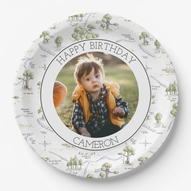 Assiettes En Carton Aquarelle Pooh et Pals Photo d'anniversaire (Devant)