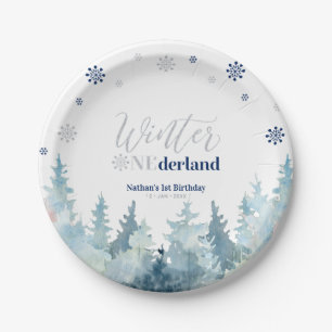 Assiettes En Carton Argent et bleu hiver Onederland Neige 1er annivers