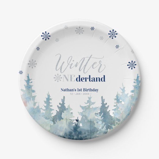 Assiettes En Carton Argent et bleu hiver Onederland Neige 1er annivers (Devant)