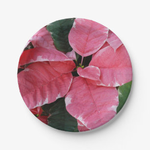 Assiettes En Carton Argent Star Marbre Poinsettias Pink Holiday Floral