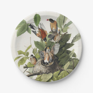 Assiettes En Carton Art ancien nid d'oiseau merle d'Amérique d'Audubon