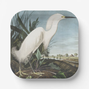 Assiettes En Carton Art vintage d'Audubon représentant un héron neigeu