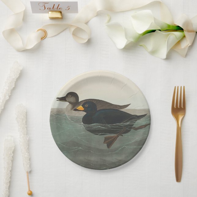 Assiettes En Carton Audubon American Scoter Duck Classic (Mariage)
