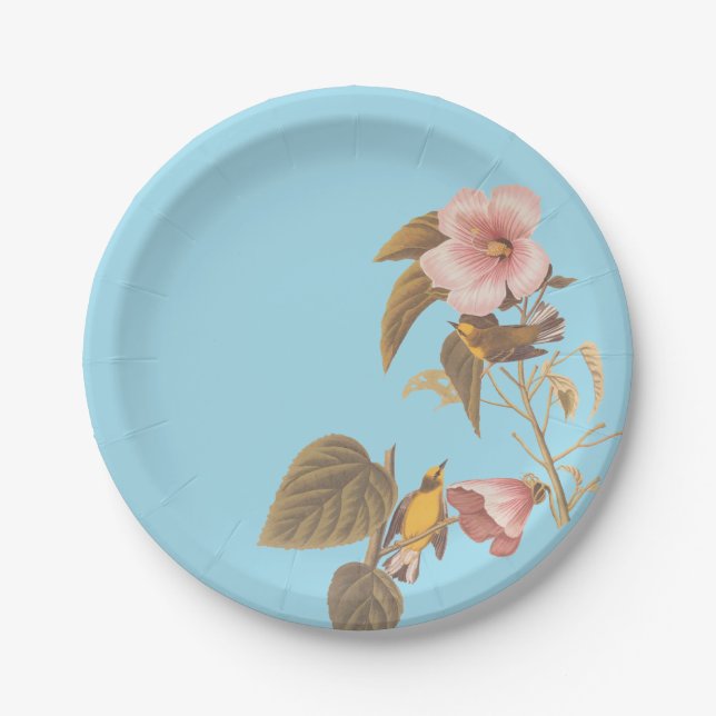 Assiettes En Carton Audubon Bleu aile Jaune Paruline Oiseau (Devant)