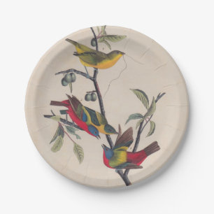 Assiettes En Carton Audubon Peint Bunting Bird Wildlife