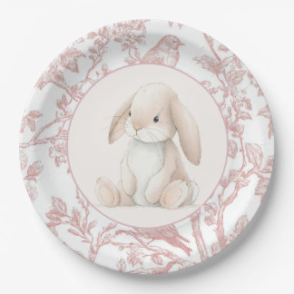Assiettes En Carton Baby Girl First Birthday Party Paper Plates