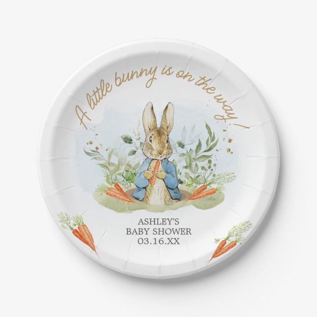 Assiettes En Carton Baby shower Blue Peter Rabbit (Devant)