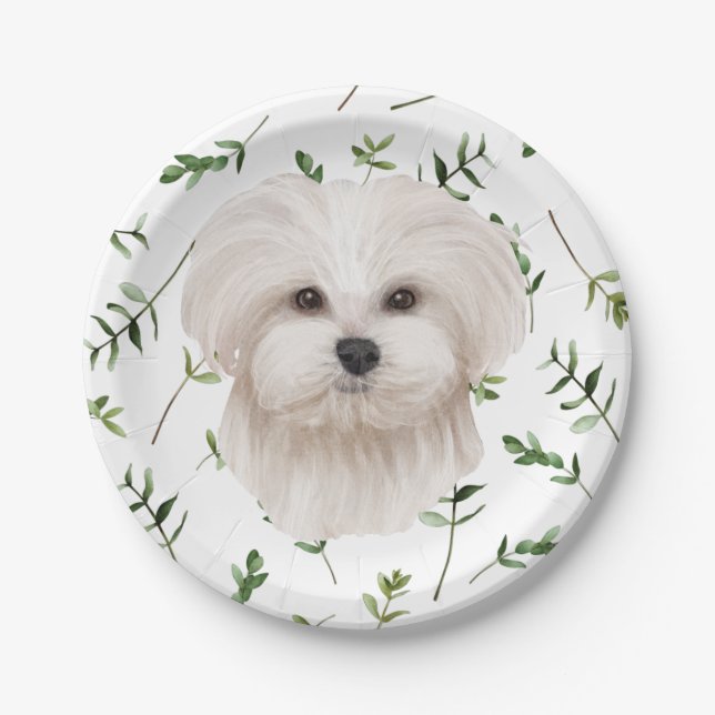 Assiettes En Carton Baby shower Boho vert chien maltais blanc (Devant)